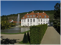 Schloss Wackerbarth mit integriertem Staatsweingut und den dazugehörigen Weinterrassen . Erkunden Sie die Arbeit der Winzer und Kellermeister im Schauweinberg und bei einer Kellerführung , oder probieren Sie einen sächsischen Tropfen in der Vinothek .