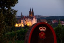 Abenddämmerung über den Weinbergen "Schloss Proschwitz" . Genießen Sie im gemütlichen Ambiente bei einer Weinprobe die Proschwitzer Weine sowie Destillate und Liköre .